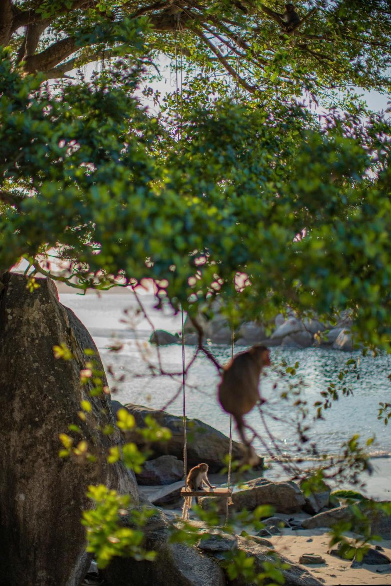 The Coral Homestay & Pub Tân Hiệ 外观 照片